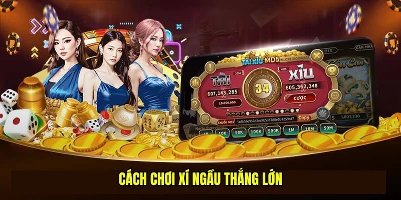 Cách chơi xí ngầu thắng lớn