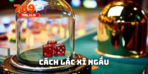 3 Cách Lắc Xí Ngầu Hiệu Quả Giúp Bạn Làm Chủ Cuộc Chơi 13 Cách lắc xí ngầu