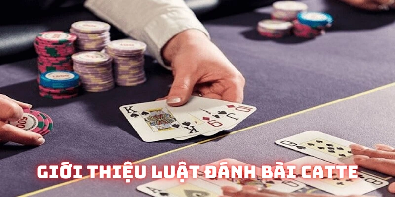 Luật Đánh Bài Catte - Kiến Thức Cần Nắm Về Sản Phẩm 2025 1 Khái niệm về luật đánh bài catte cơ bản nhất