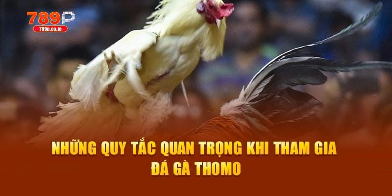 Đá Gà Thomo – Theo Dõi Các Giải Đấu Đỉnh Cao Tại 789P 2 Những quy tắc quan trọng khi tham gia đá gà Thomo