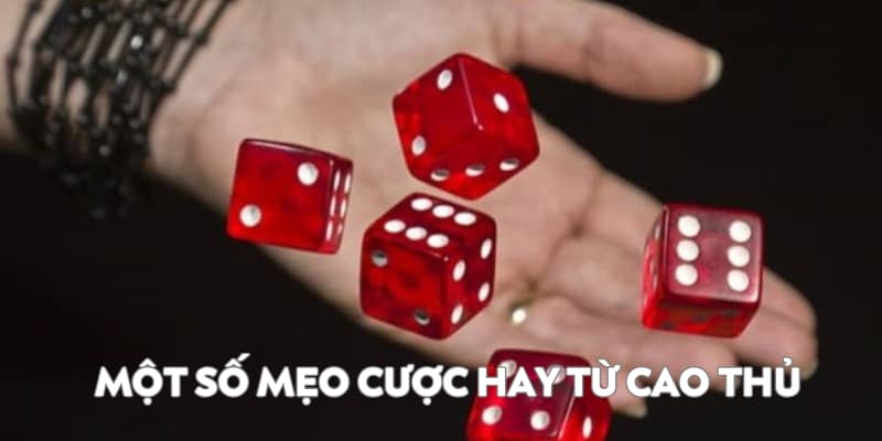 Tài Xỉu 789P - Game Cá Cược Đẳng Cấp Hàng Đầu Thời Đại 3 Mẹo cược hay từ cao thủ